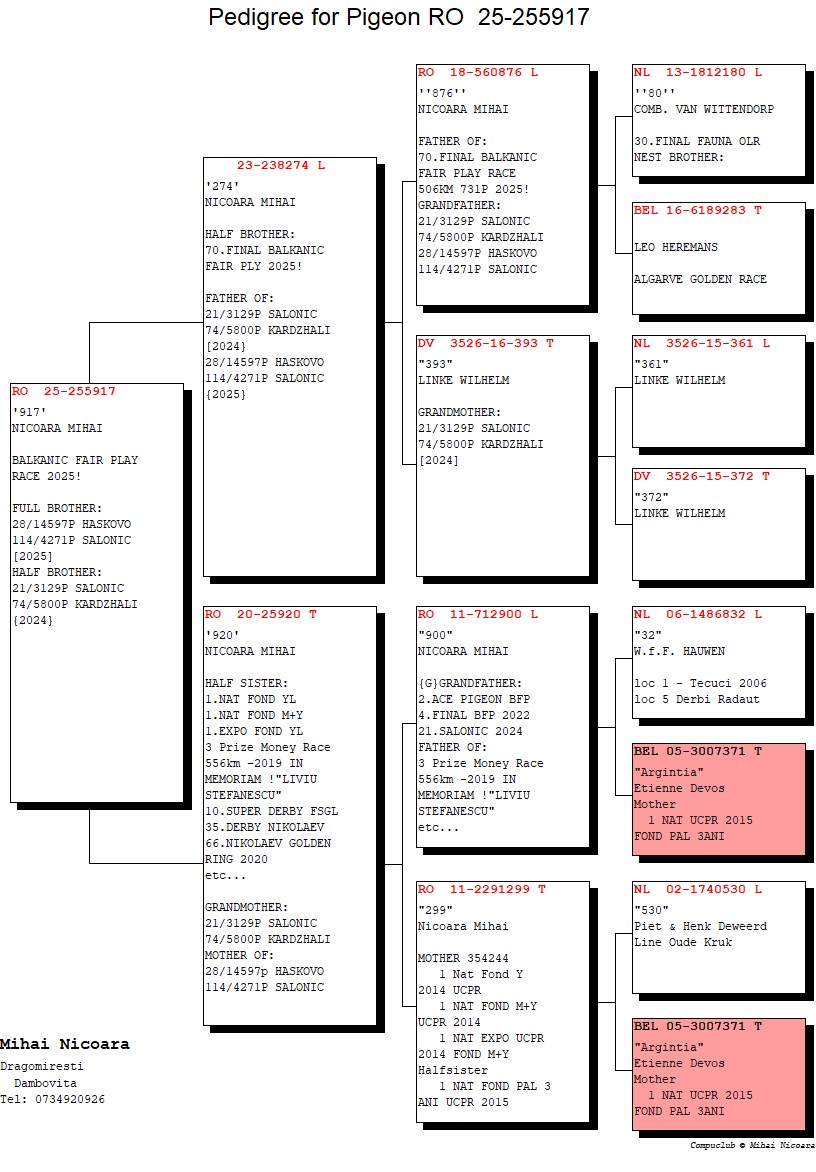 253	Final Race (506 km) 	 NICOARA MIHAI	 RO 255917	
