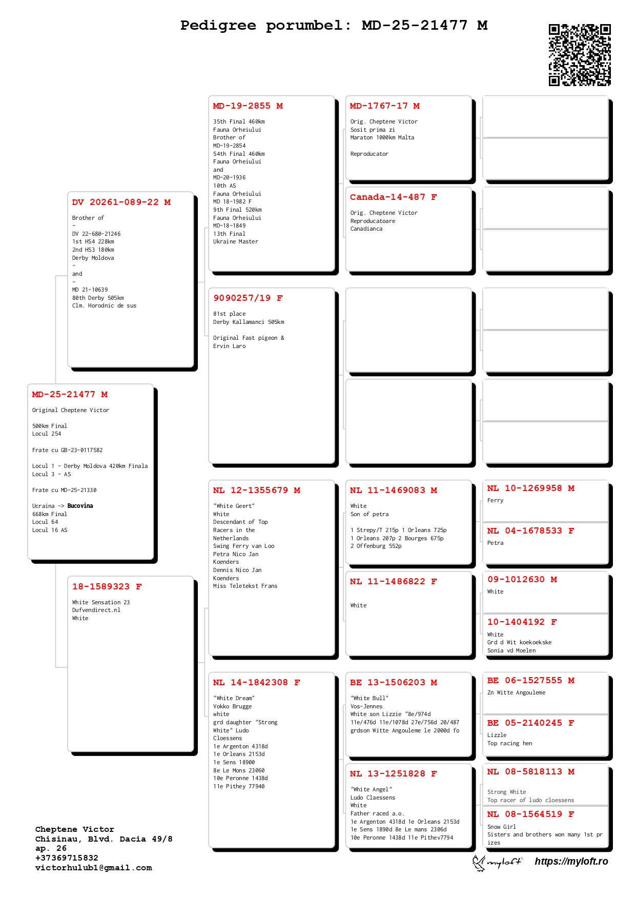 254	Final Race (502 km) 	 Cheptene Victor	 MD-25-21477	