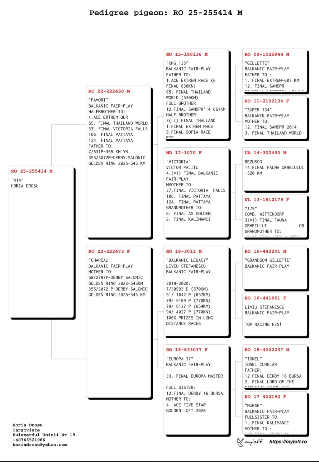 255	Final Race (506 km) 	 DROSU HORIA	 RO 255414	
