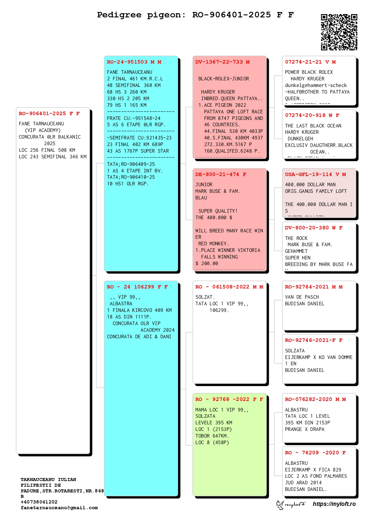256	Final Race (506 km) 	 VIP ACADEMY OLR	 RO 906401	