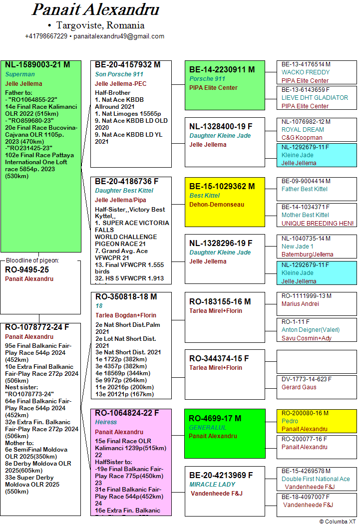 258	Final Race (506 km) 	 PANAIT ALEXANDRU + ALEX BUCALOIU	 RO 9495	