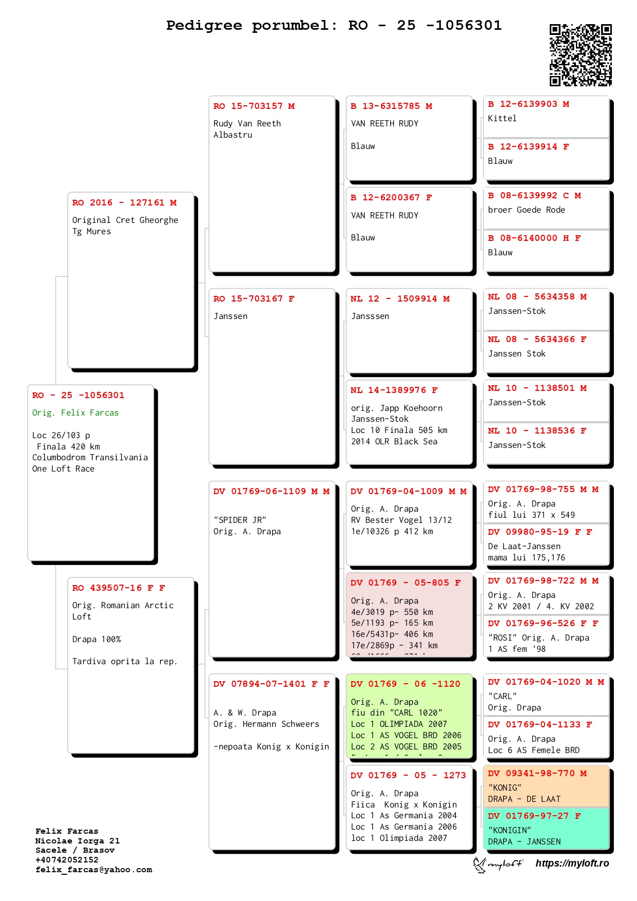26	Final (420 km) 	 MATEI FLX	 RO-25-1056301	