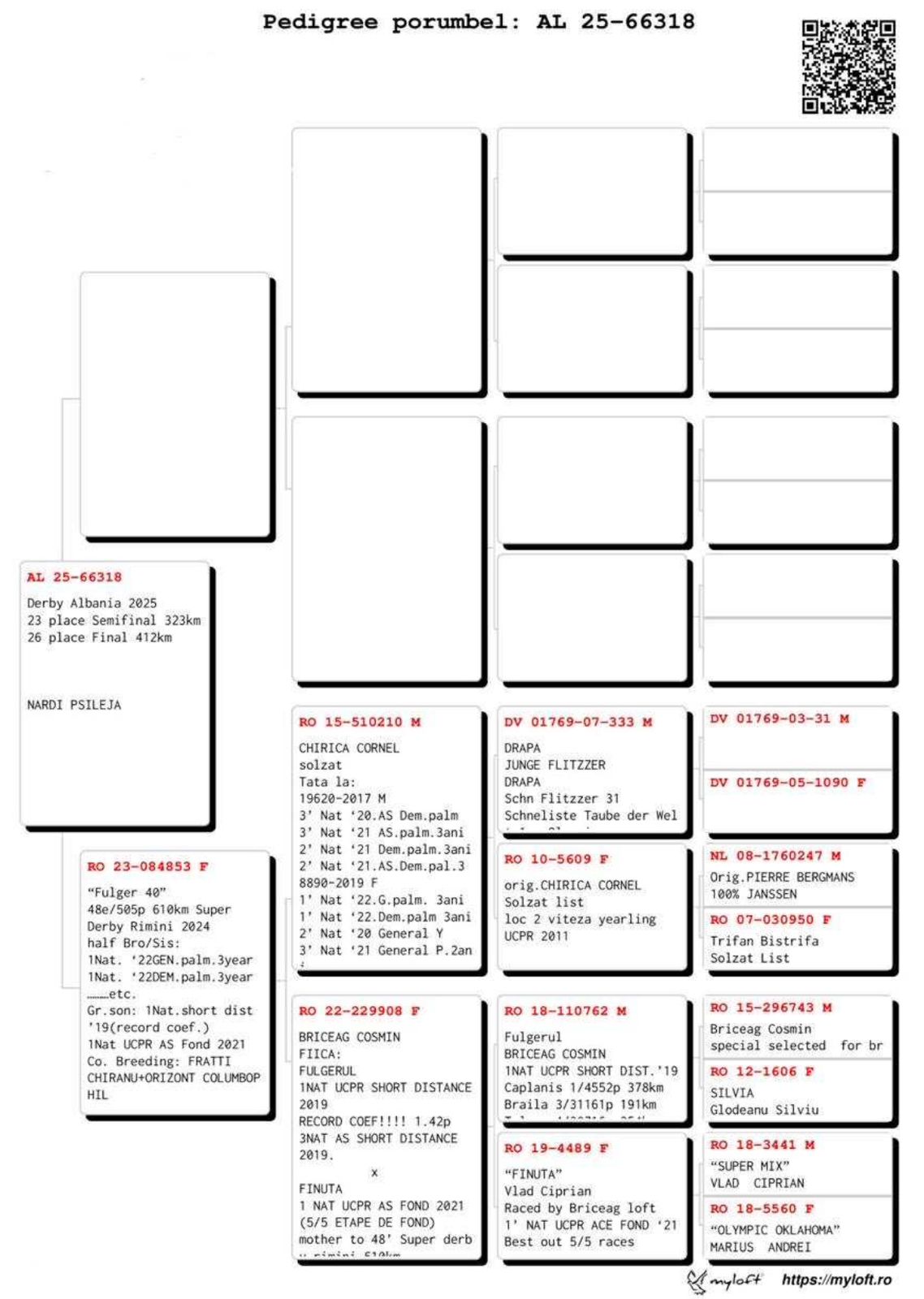 26	Final Race (412 km) 	 Nardi	 AL-66318-2025	