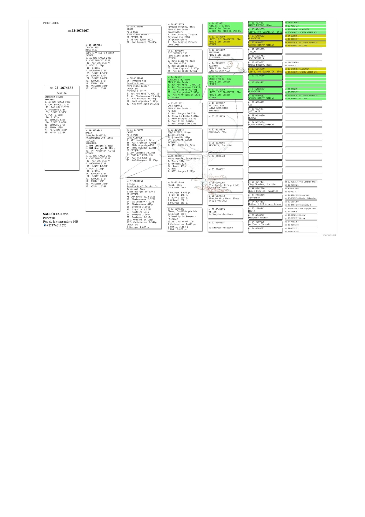 26	place Extra Super Derby (605 km) 	 Ionut Bres	 GB-25-B-34241	