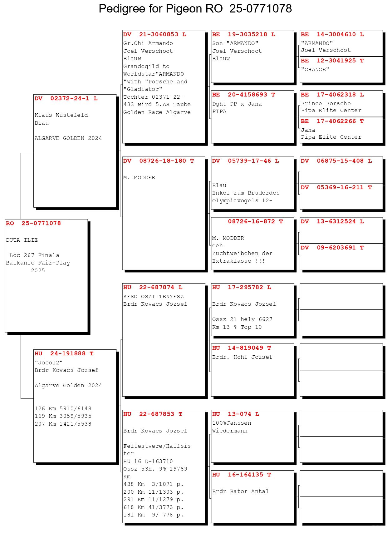 267	Final Race (506 km) 	 DUTA ILIE	 RO 771078	