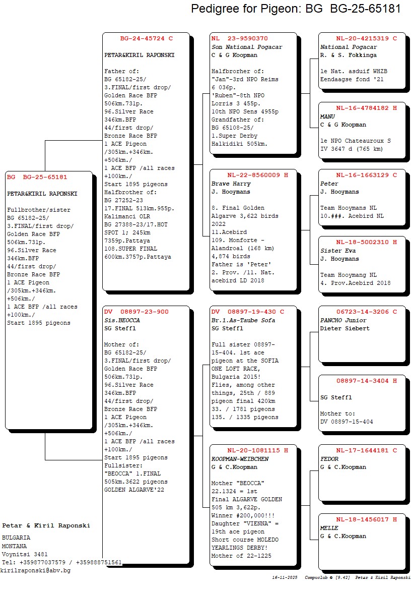 271	Final Race (506 km) 	 PETAR & KIRIL RAPONSKI	 BG 65181	