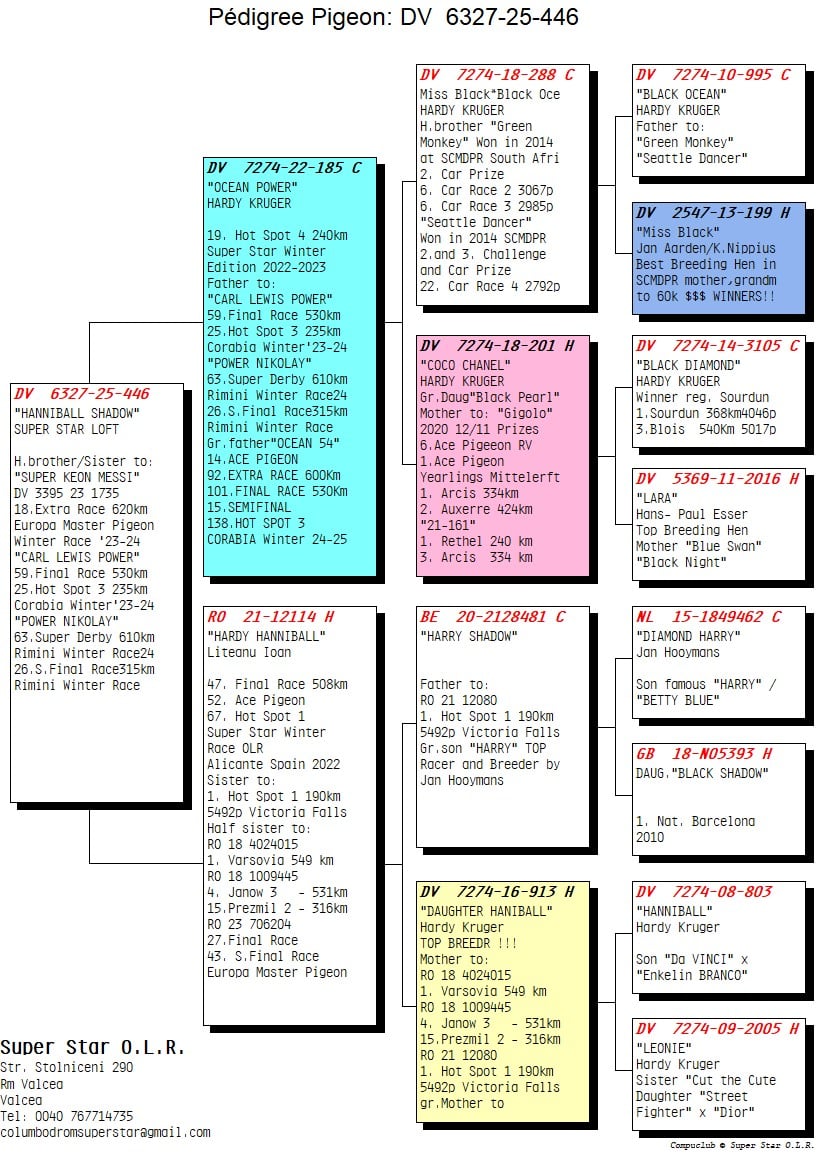 272	Final Race (506 km) 	 SUPER STAR OLR	 DV 6327 446	