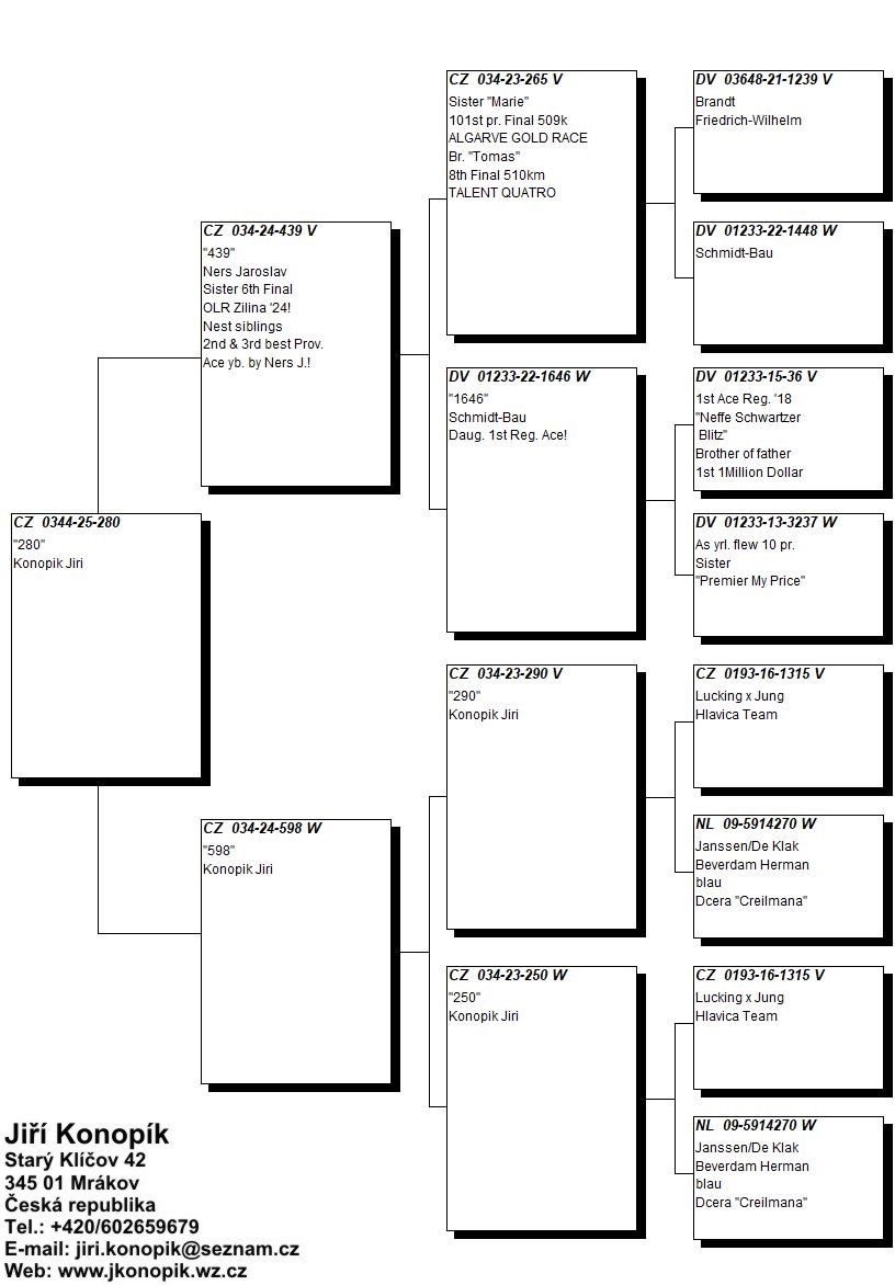 275	Final Race (506 km) 	 JIRI KONOPIK	 CZ 344 280	