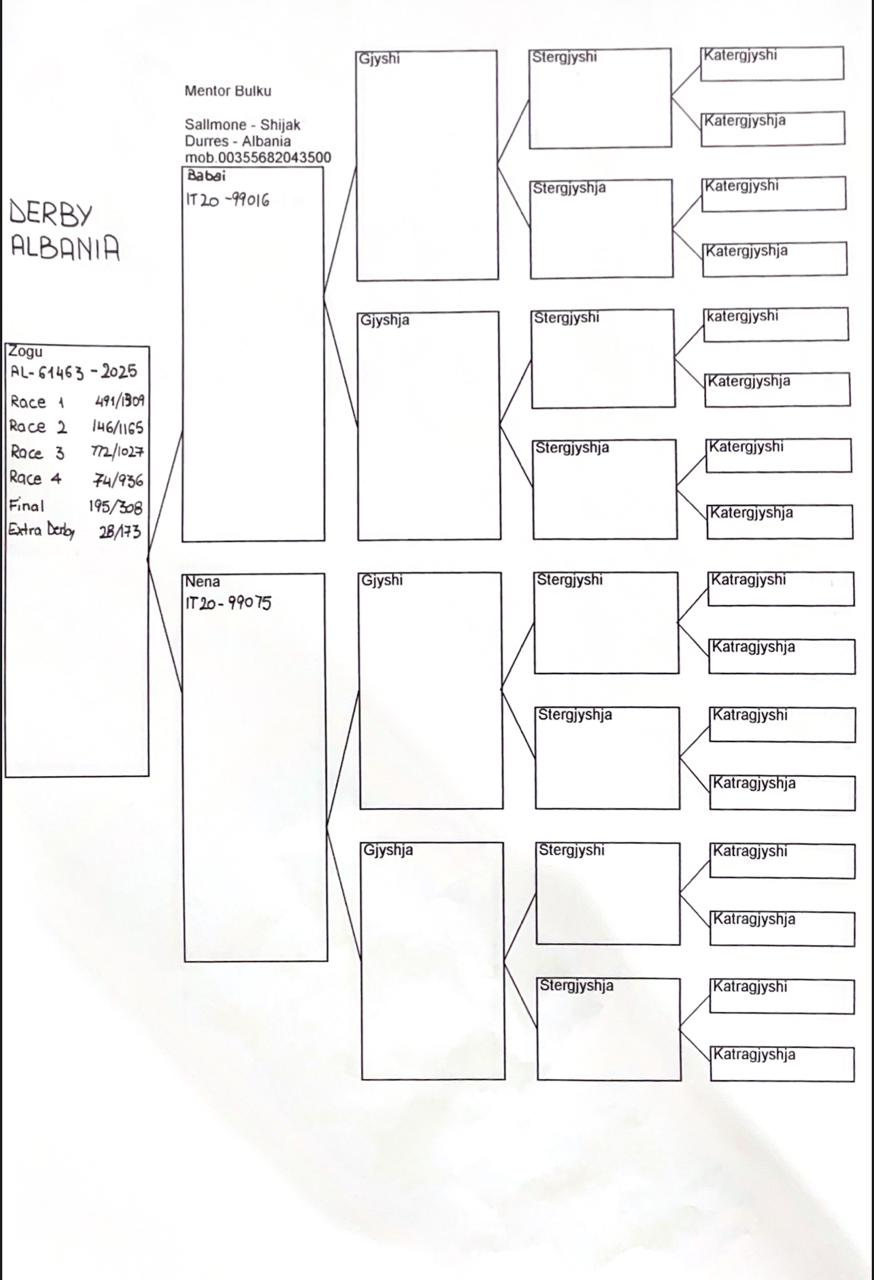 28	place Super Derby (506 km) 	 Mentor Bulku Team A	 AL-61463-2025	