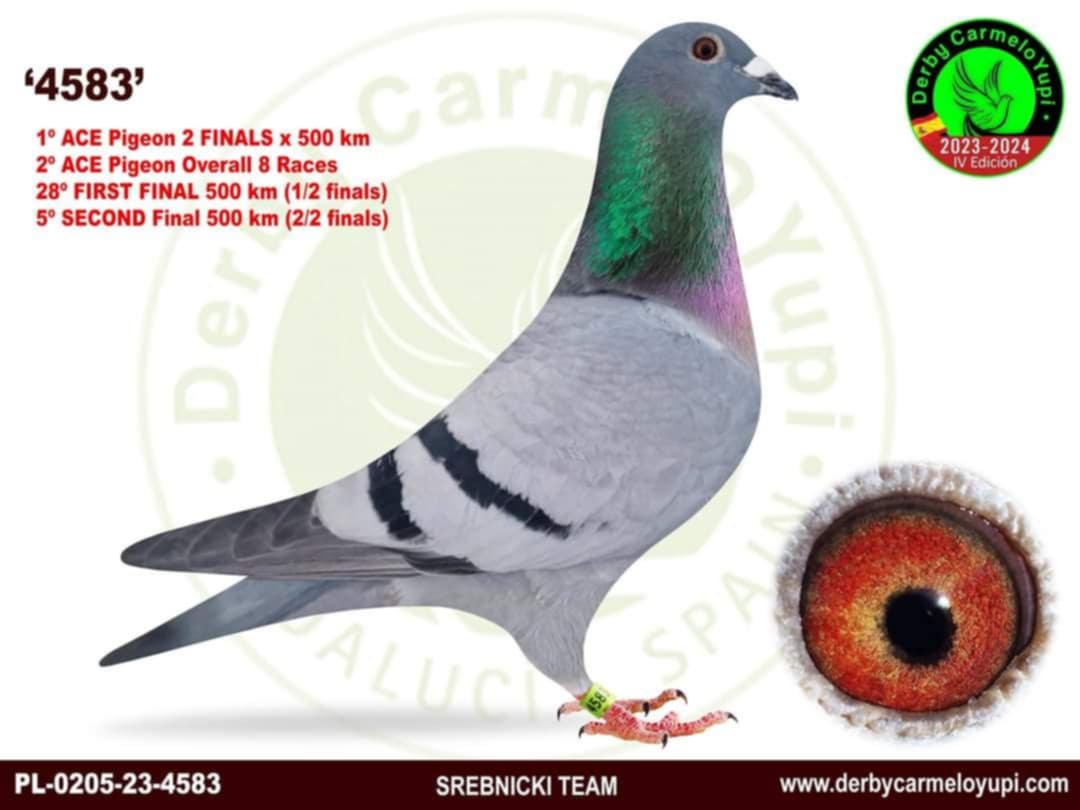 281	Final Race (506 km) 	 LACH TEAM	 PL 23 8212	