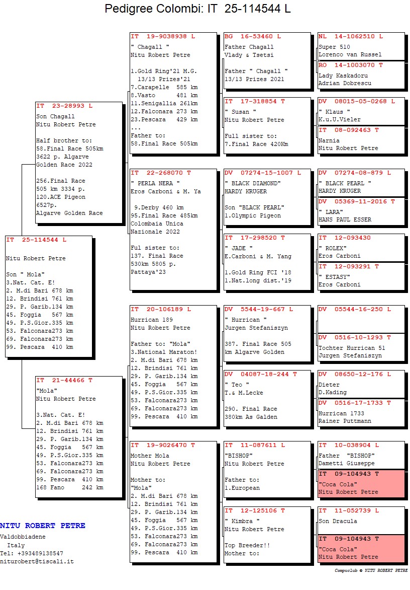 289	Final Race (506 km) 	 NITU VICTOR NIKITA	 IT 114544	