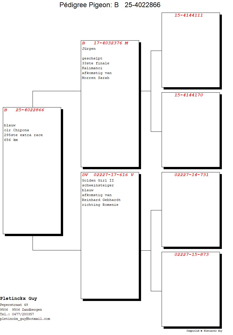 295	place EXTRA FINAL (656 km) LOFT MARINA	  BE-25-4022866	