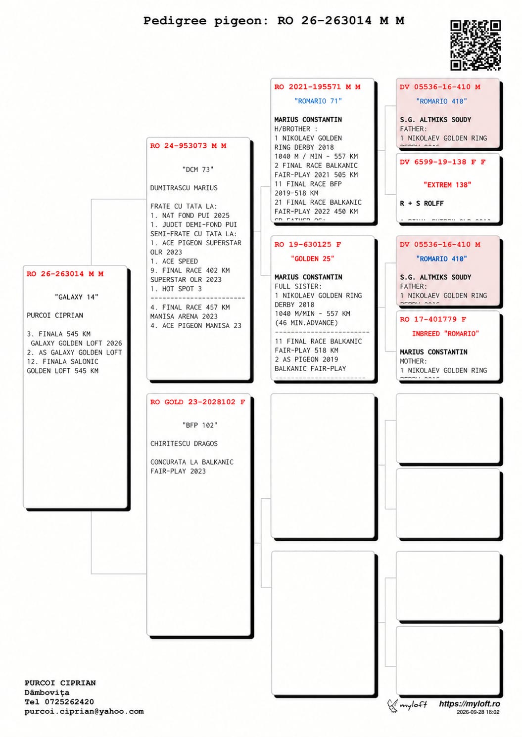 3 Final + 12 Salonic Golden Ring  &middot; PURCOI CIPRIAN 263014-2026