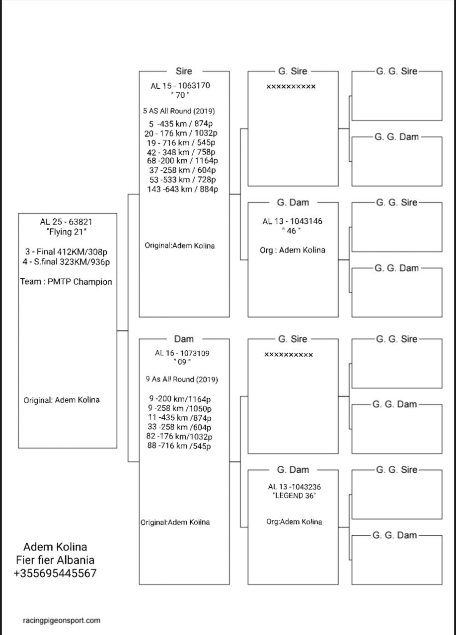 3	Final Race (412 km) 	 PMTP Champion	 AL-63821-2025	