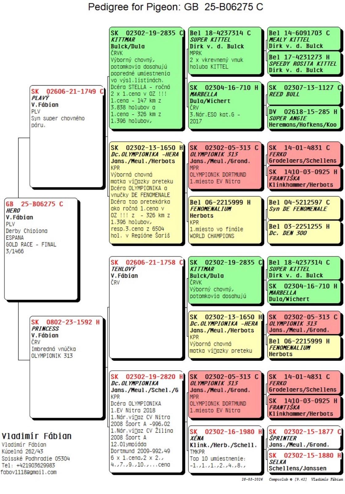 3	FINAL RACE (515 km) 	 VALERIU DOBROVOLSCHI	 GB-25-B06275	