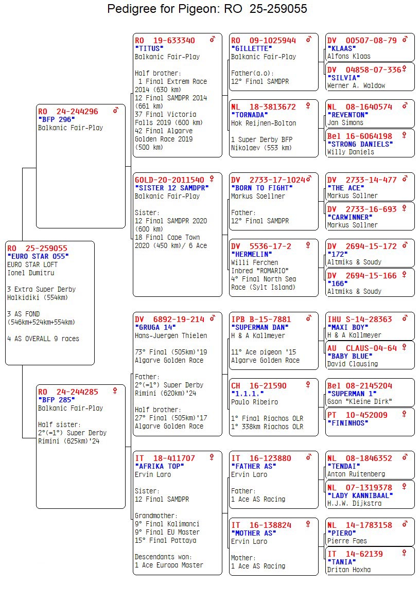 3 place EXTRA SUPER DERBY (553 km) + 3 Ace 3x Fond EURO STAR LOFT 259055 25