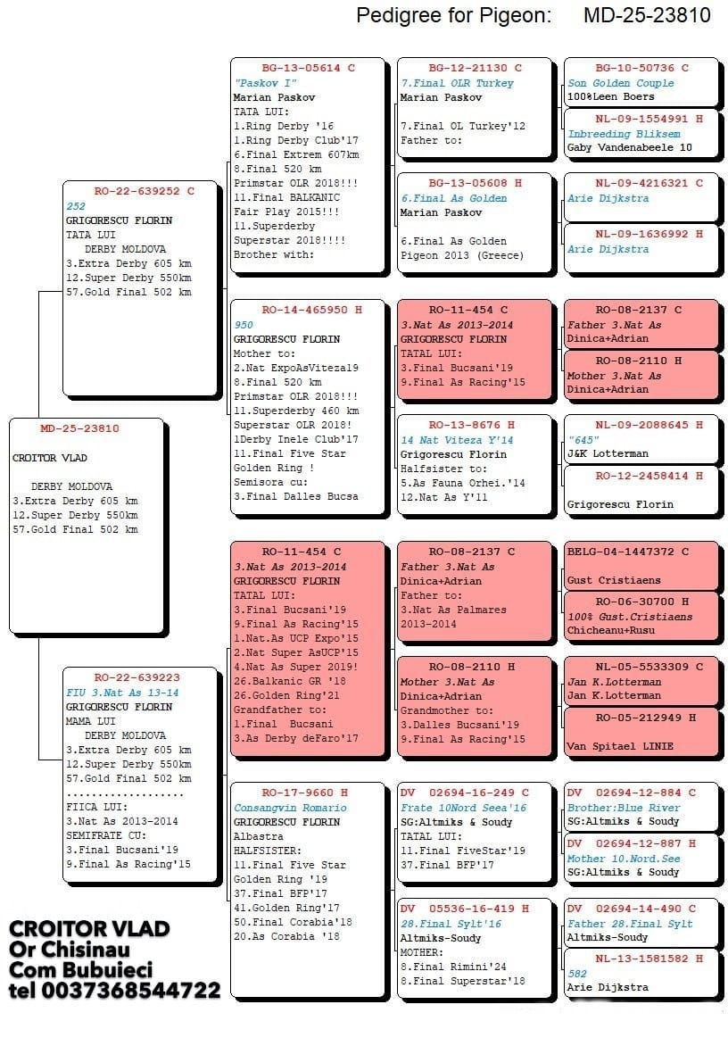 3	place Extra Super Derby (605 km) + 1 Ace FOND	 Croitoru Vlad	 MD-25-23810	