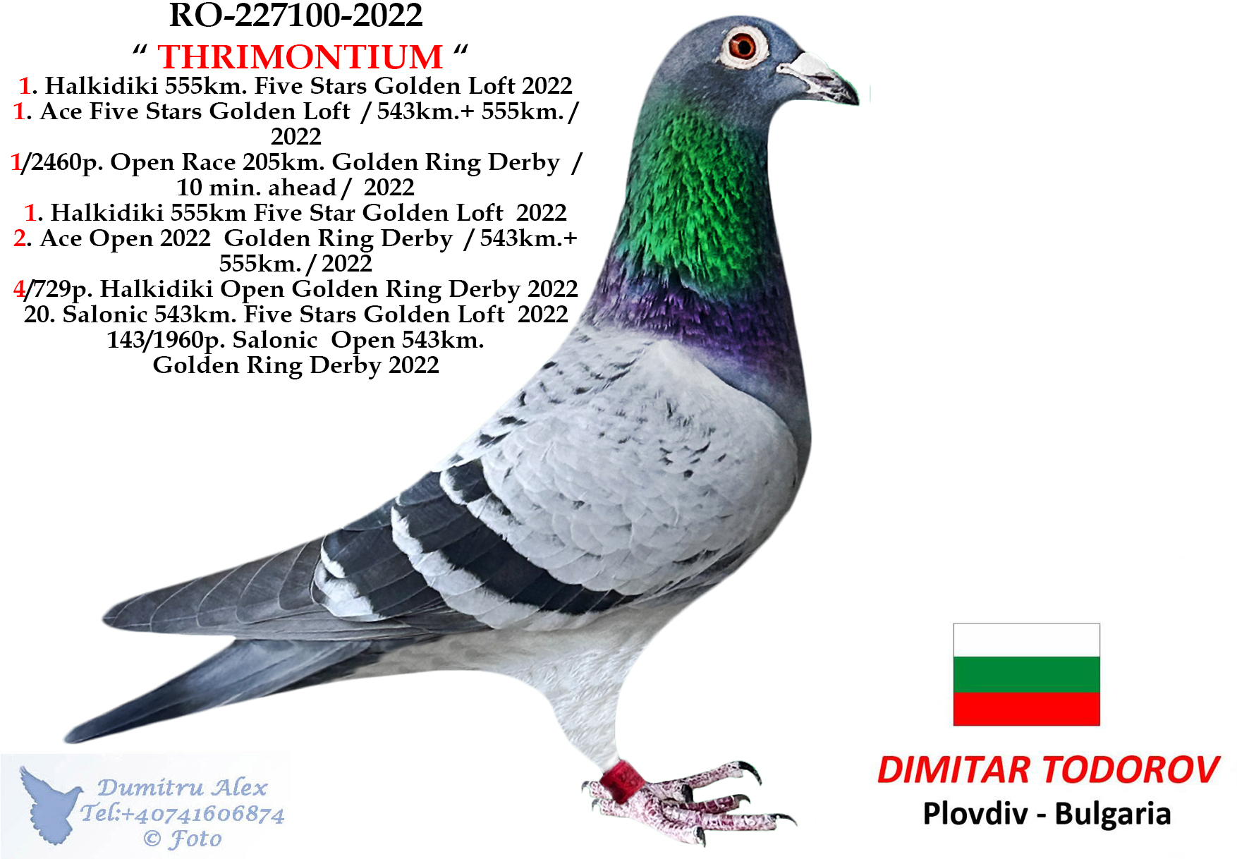 3	place Final Race (452km)	+ 3 Ace DIMITAR TODOROV	BG 94002
