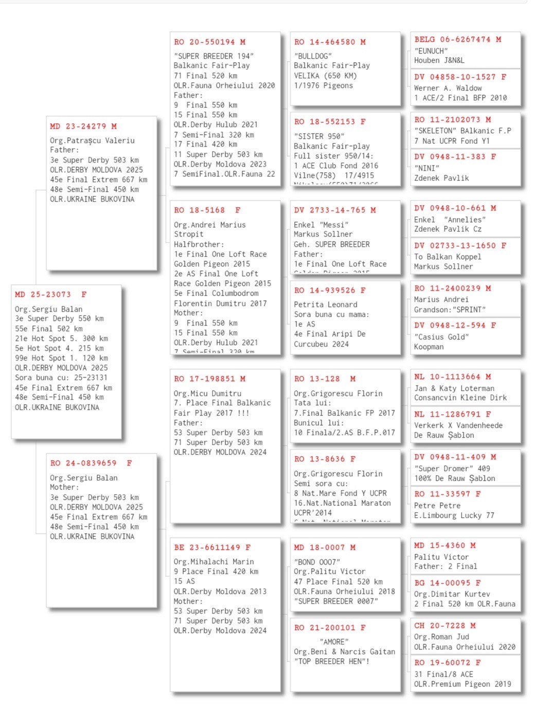 3	place Super Derby (550 km) 	 Balan & Soilita	 MD-25-23073 	