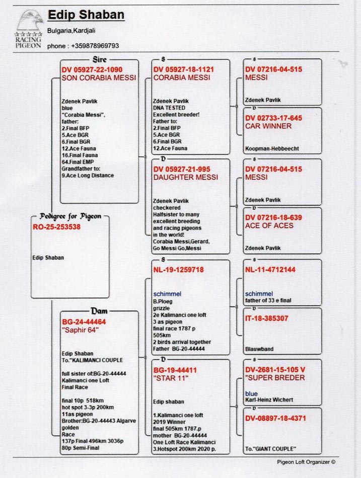 3	place Super Derby Halkidiki (554 km)	EDIP SHABAN	253538	25					