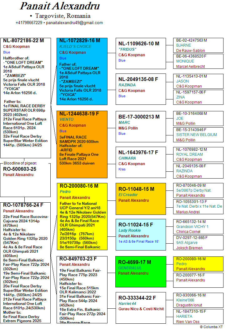 30	place Extra Super Derby (605 km) 	 Panait Alexandru	 RO-25-500603	