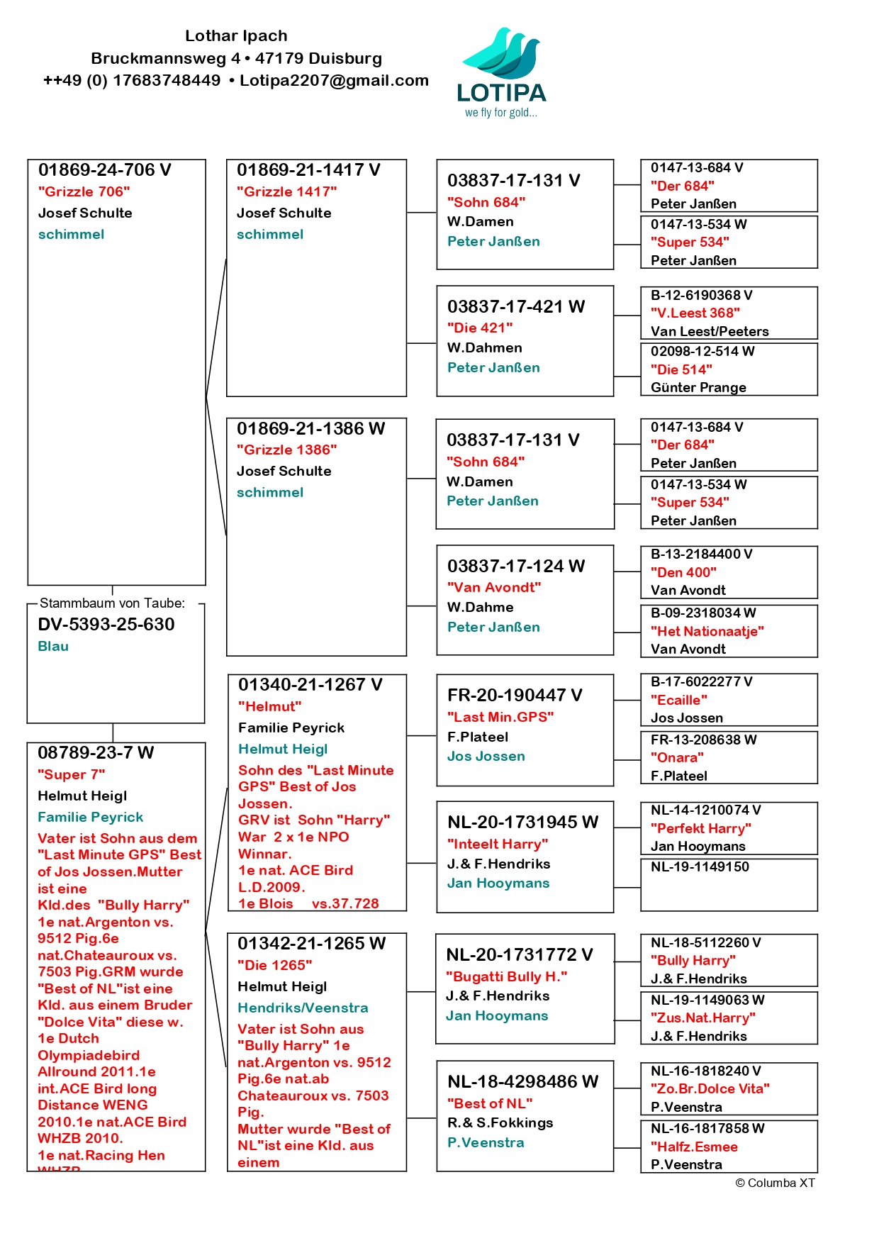 31	FINAL RACE (515 km) 	 LOTIPA	 DV-05393-25-630	