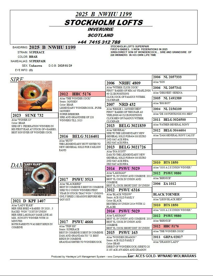 32	FINAL RACE (515 km) 	 STOCKHOLM LOFTS	 NWHU-25-B1199	