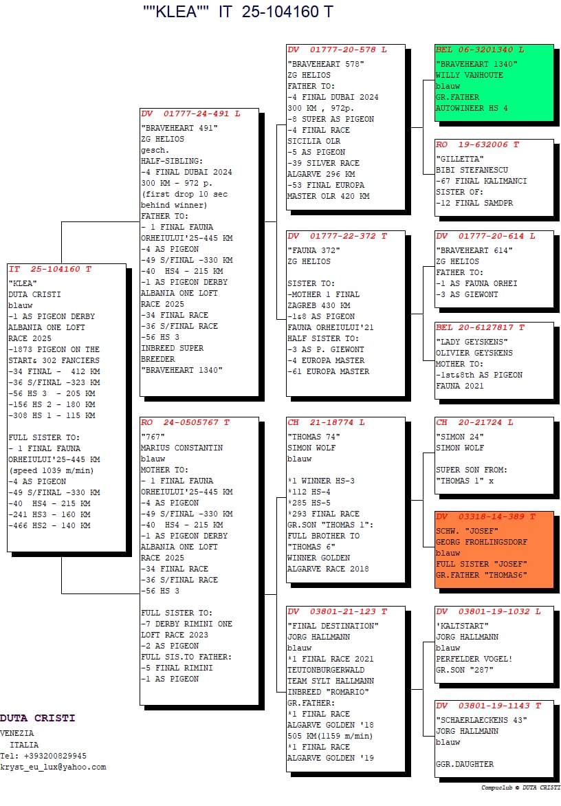 34	Final Race (412 km) + 1 Ace	 Duta Cristi & Ciprian	 IT-104160-2025	