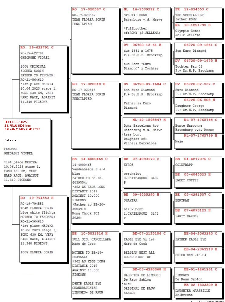 34	Final Race (506 km) 	 GHIORGHE VIOREL	 RO 30635	