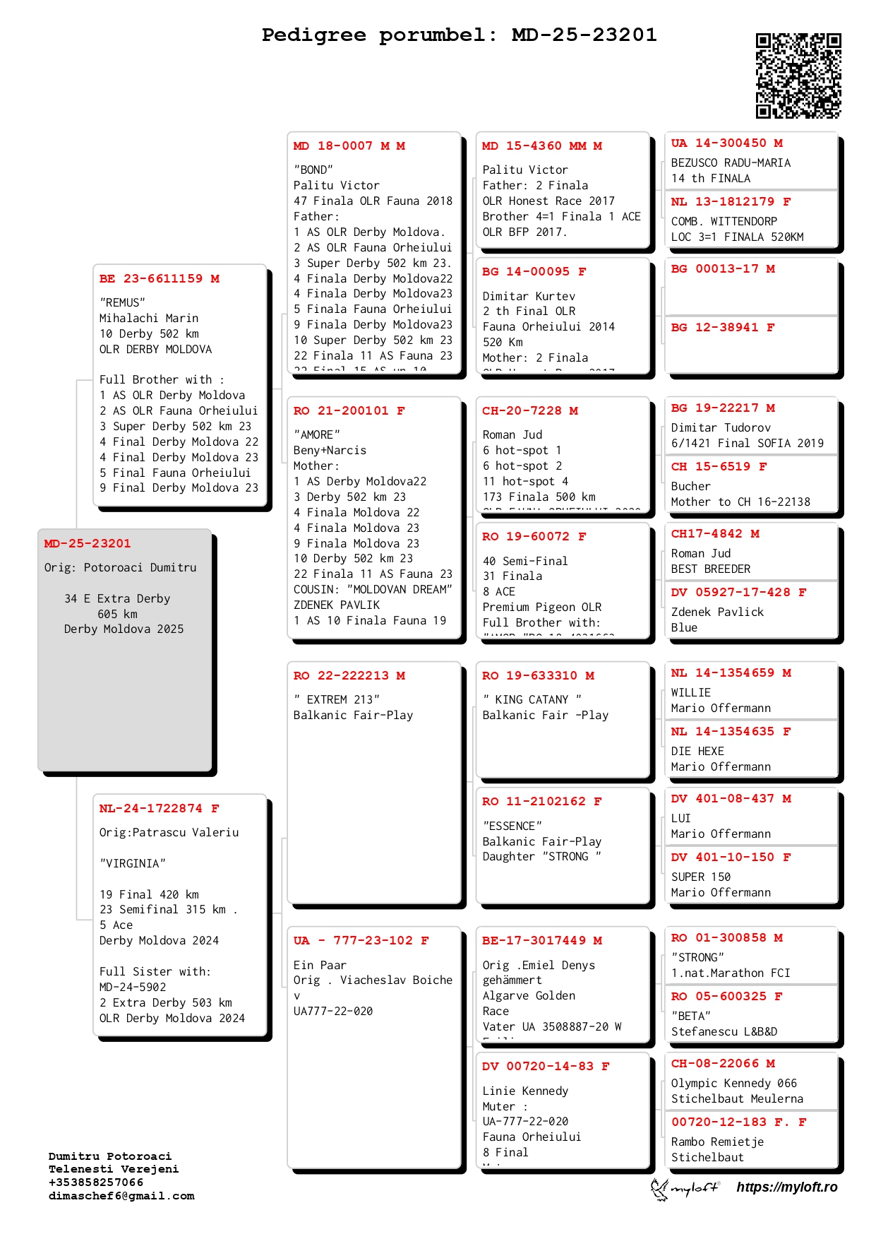 34	place Extra Super Derby (605 km) 	 Potoroaci Family	 MD-25-23201
