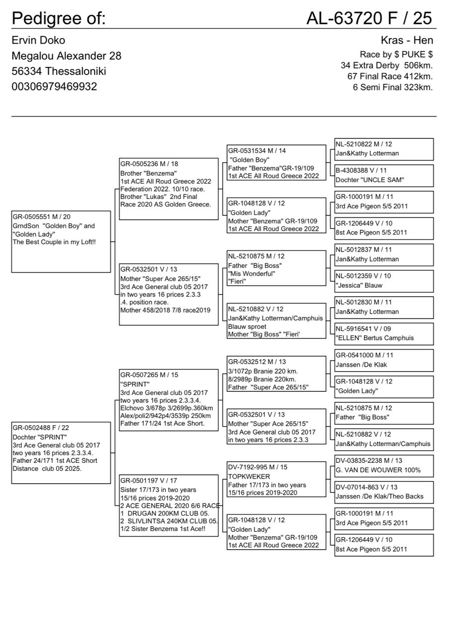 34	place Super Derby (506 km) 	 $ PUKE $ Team C	 AL-63720-2025	