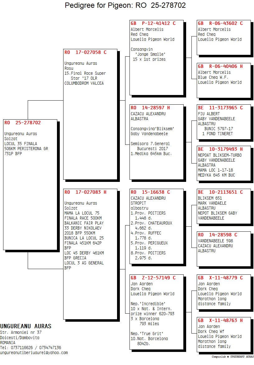 35	Final Race (506 km) 	 UNGUREANU AURAS	 RO 278702	