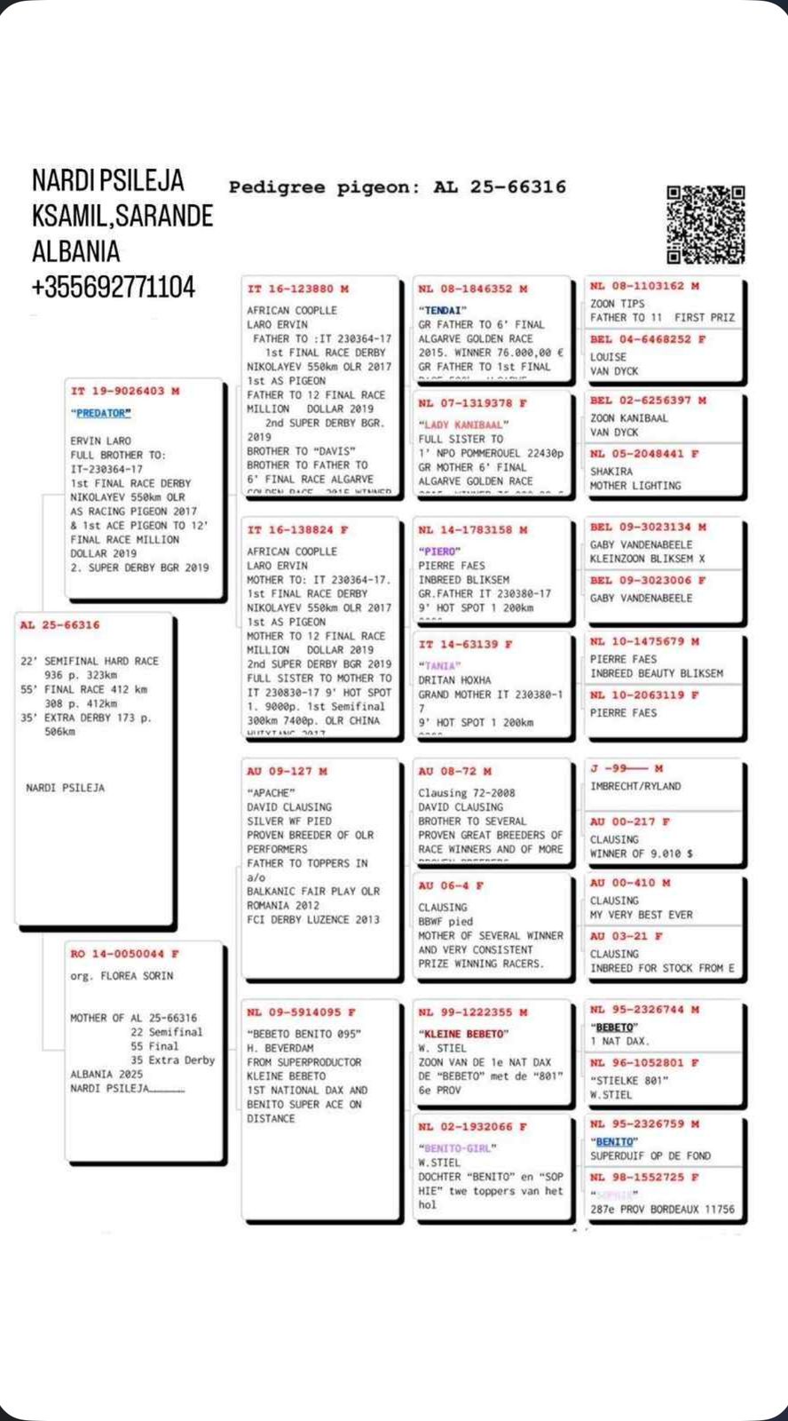 35	place Super Derby (506 km) 	 Nardi	 AL-66316-2025	