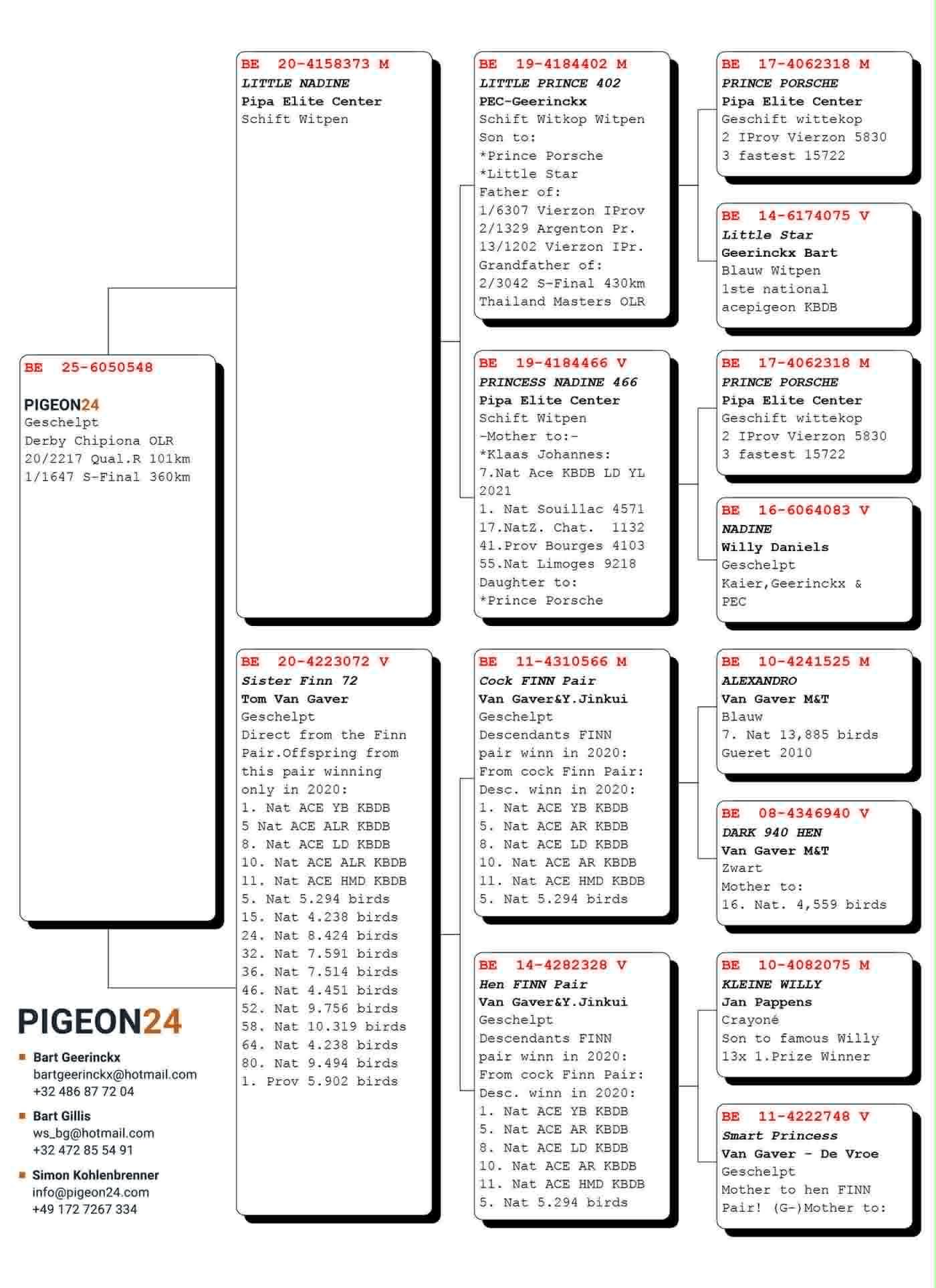 354	place EXTRA FINAL (656 km) PIGEON24	  BE-25-6050548	