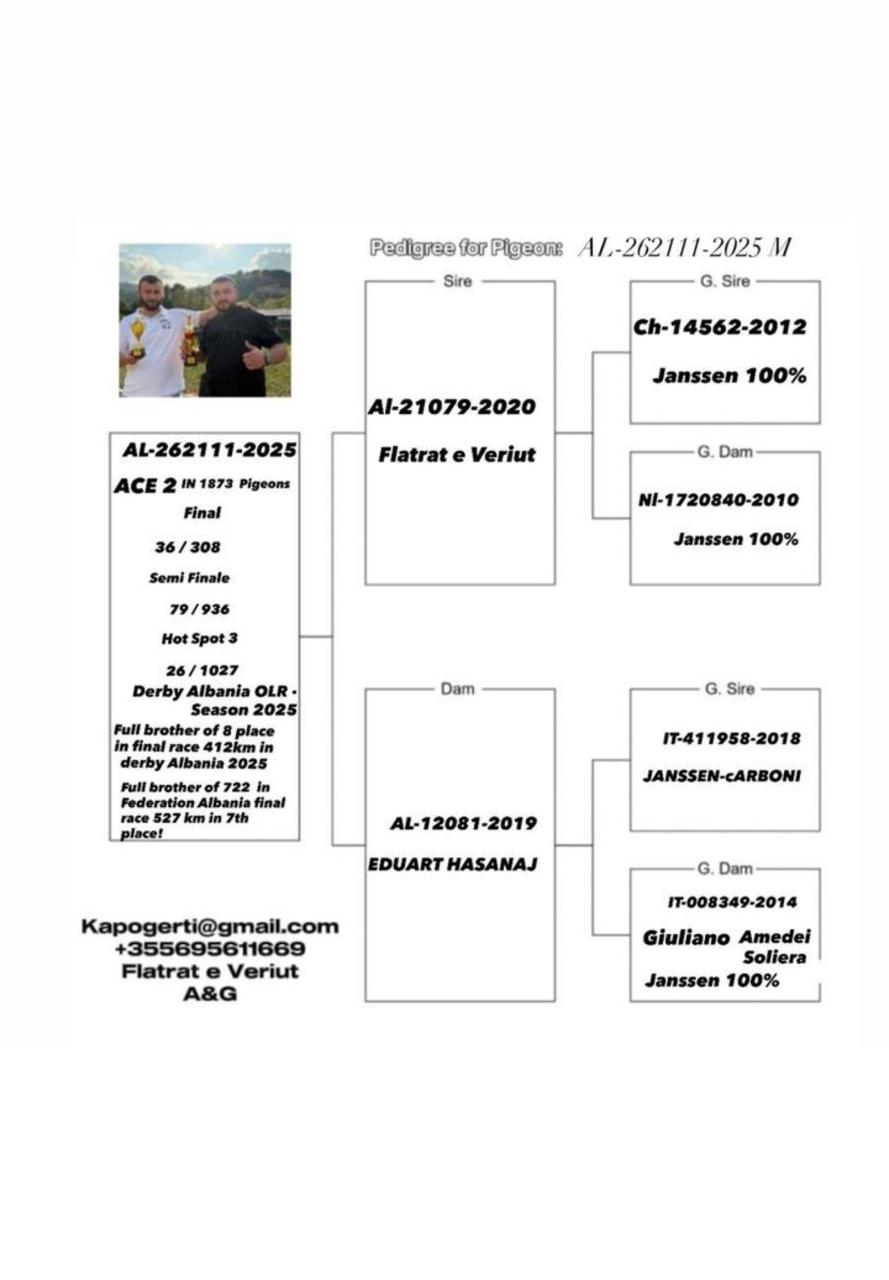 36	Final Race (412 km) + 2 Ace	 Flatrat E Veriut	 AL-262111-2025	