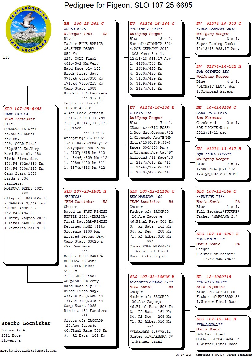 36	place Super Derby (550 km) 	 Team Locniskar + Sovic	 SLO-25-107-6685	