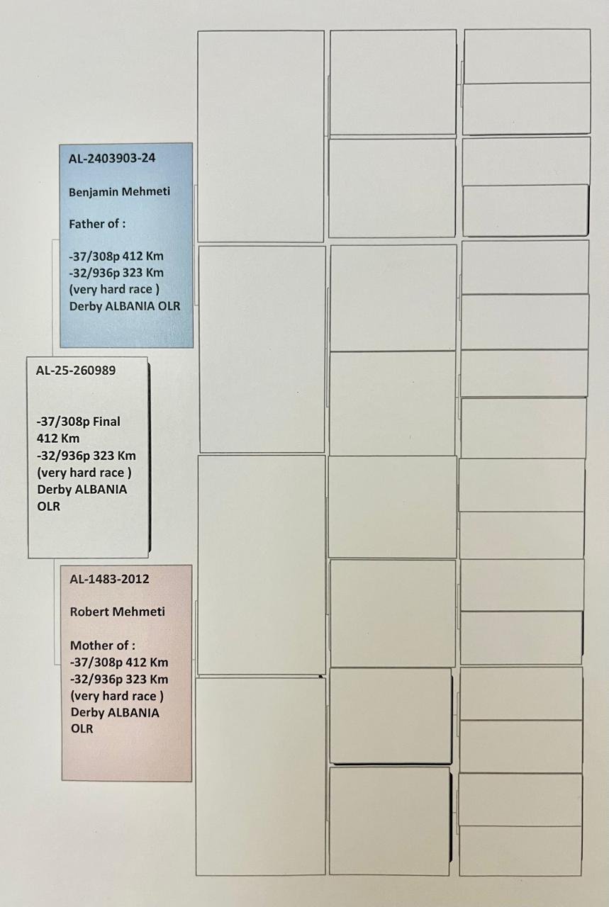 37	Final Race (412 km) 	 Julian Licka	 AL-260989-2025	