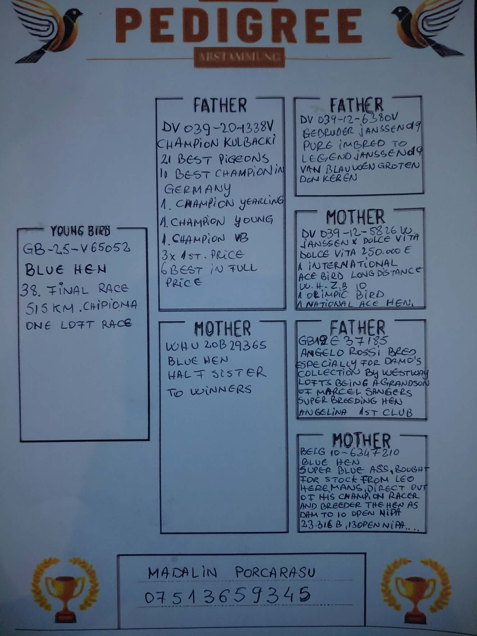 38	FINAL RACE (515 km) 	 MADALIN & ALESSIA	 GB-25-V65052	