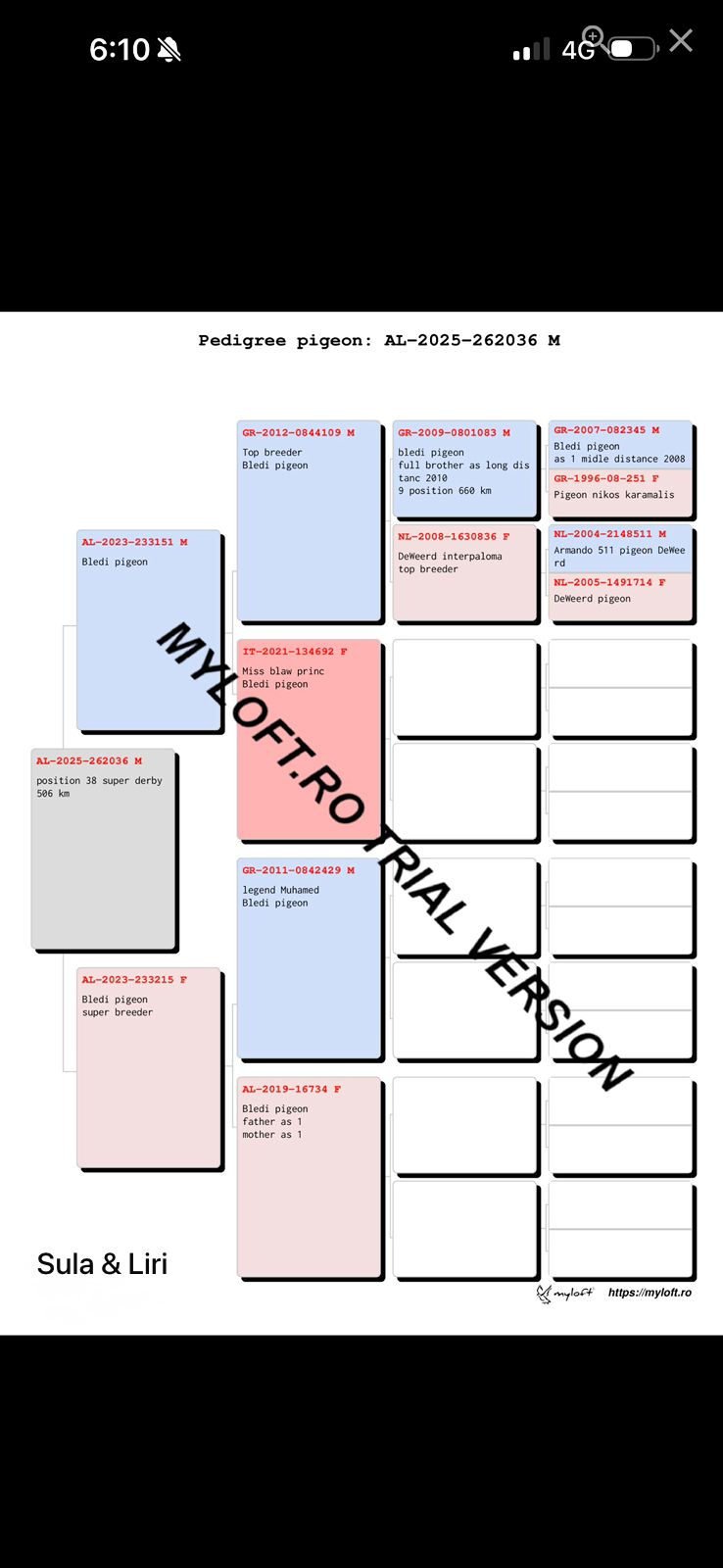 38	place Super Derby (506 km) 	 Liri & Sula	 AL-262036-2025	