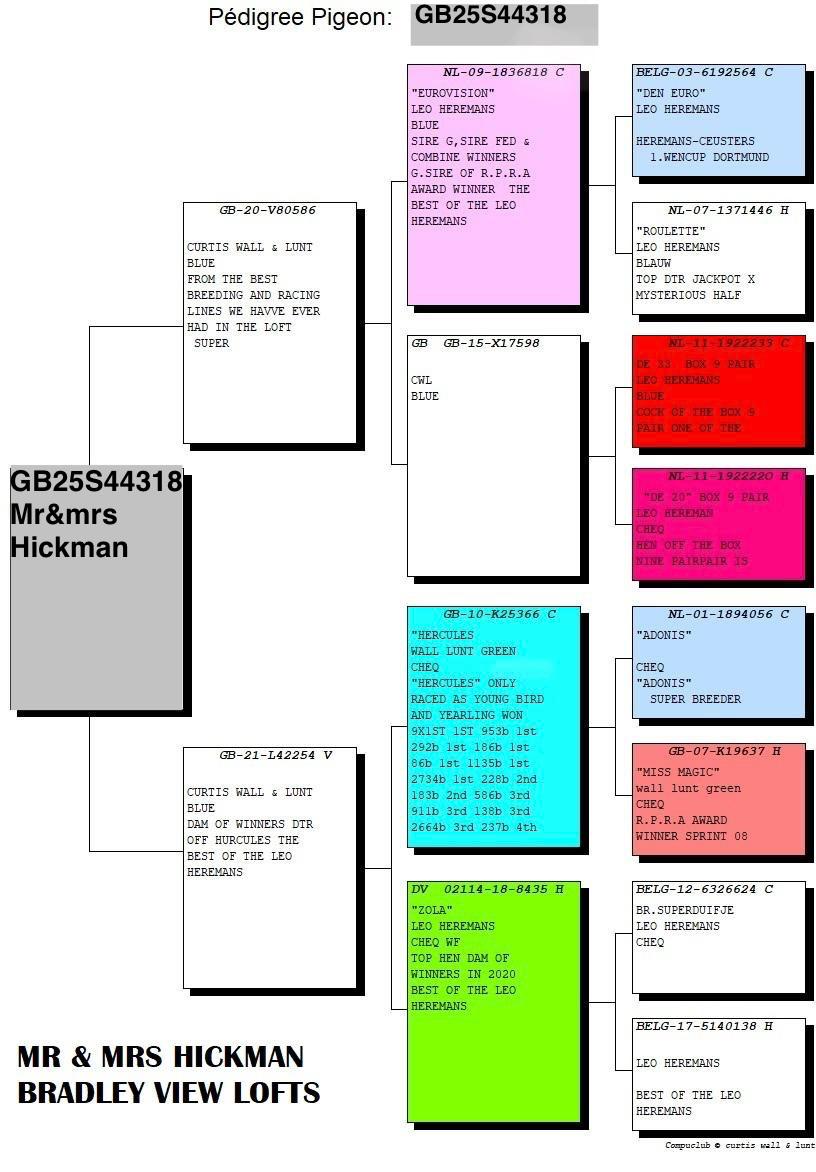 385	place EXTRA FINAL (656 km) MR & MRS HICKMAN	  GB-25-S44318	