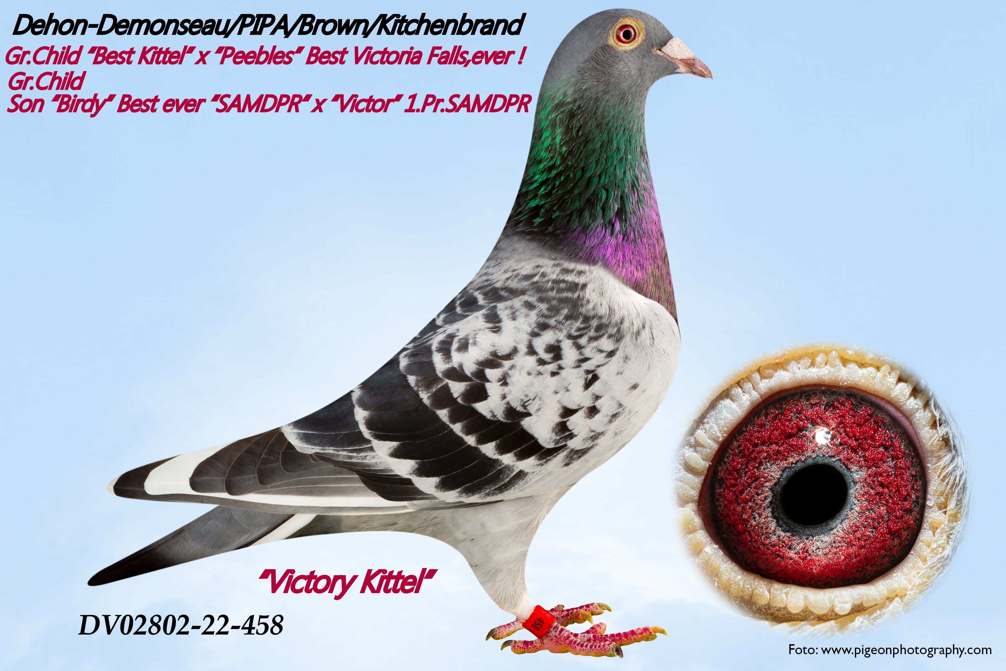 395	place EXTRA FINAL (656 km) KARL-HEINZ WICHERT	  DV-02618-25-457	