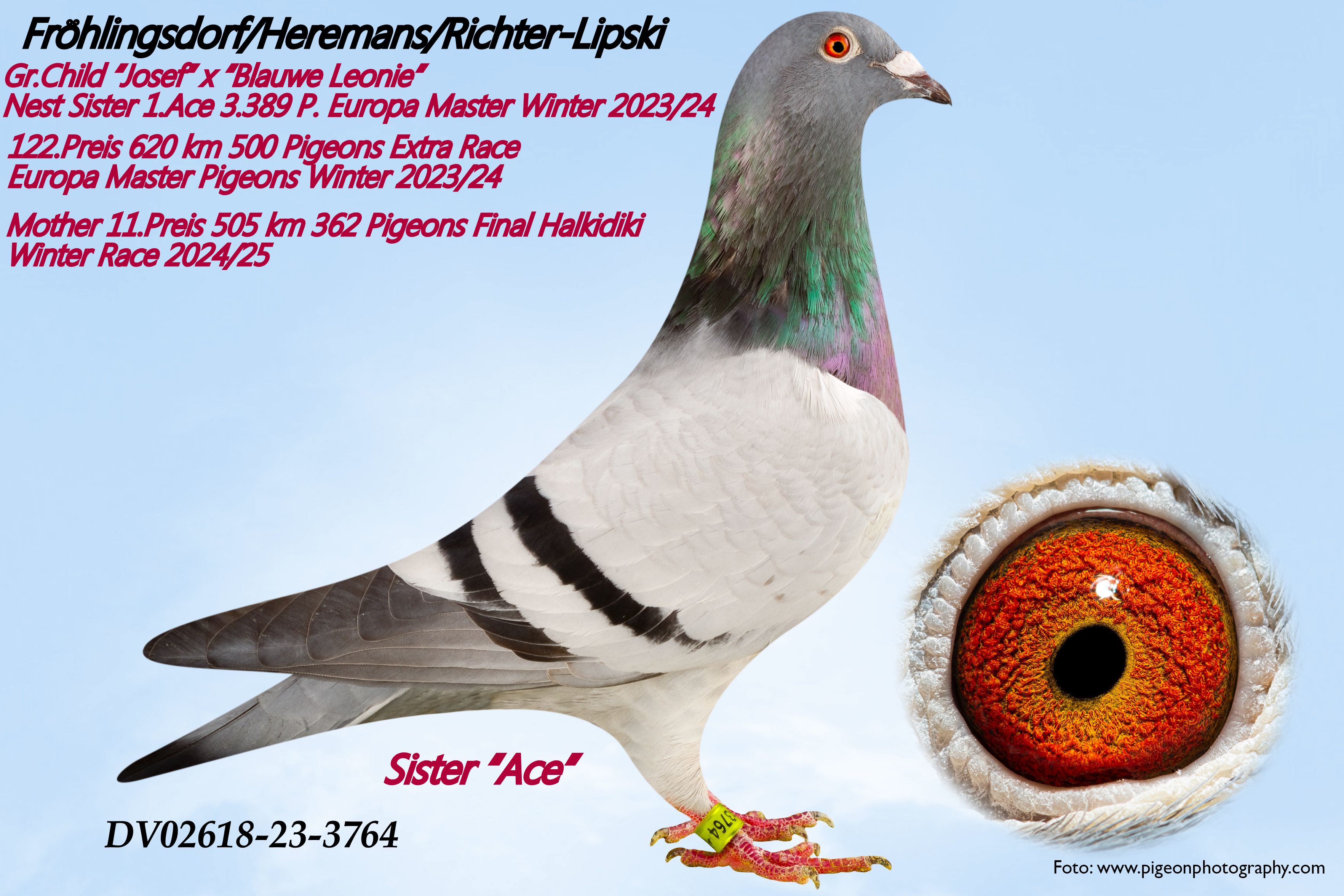 395	place EXTRA FINAL (656 km) KARL-HEINZ WICHERT	  DV-02618-25-457	