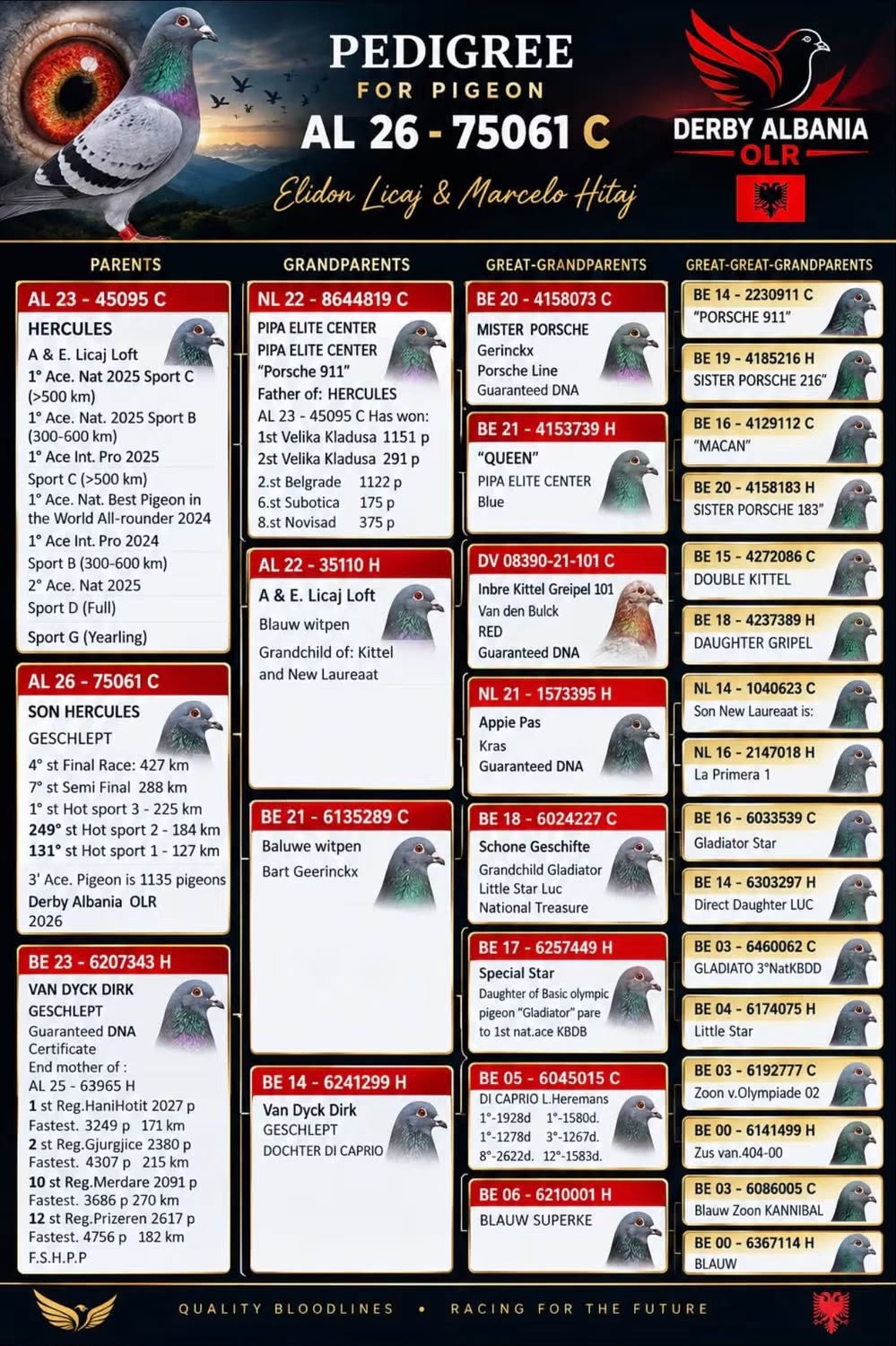 4	Final (427 km) 	 Elidon Licaj & Marcelo Hitaj + 3 Ace-pigeon	 AL-75061-2026	