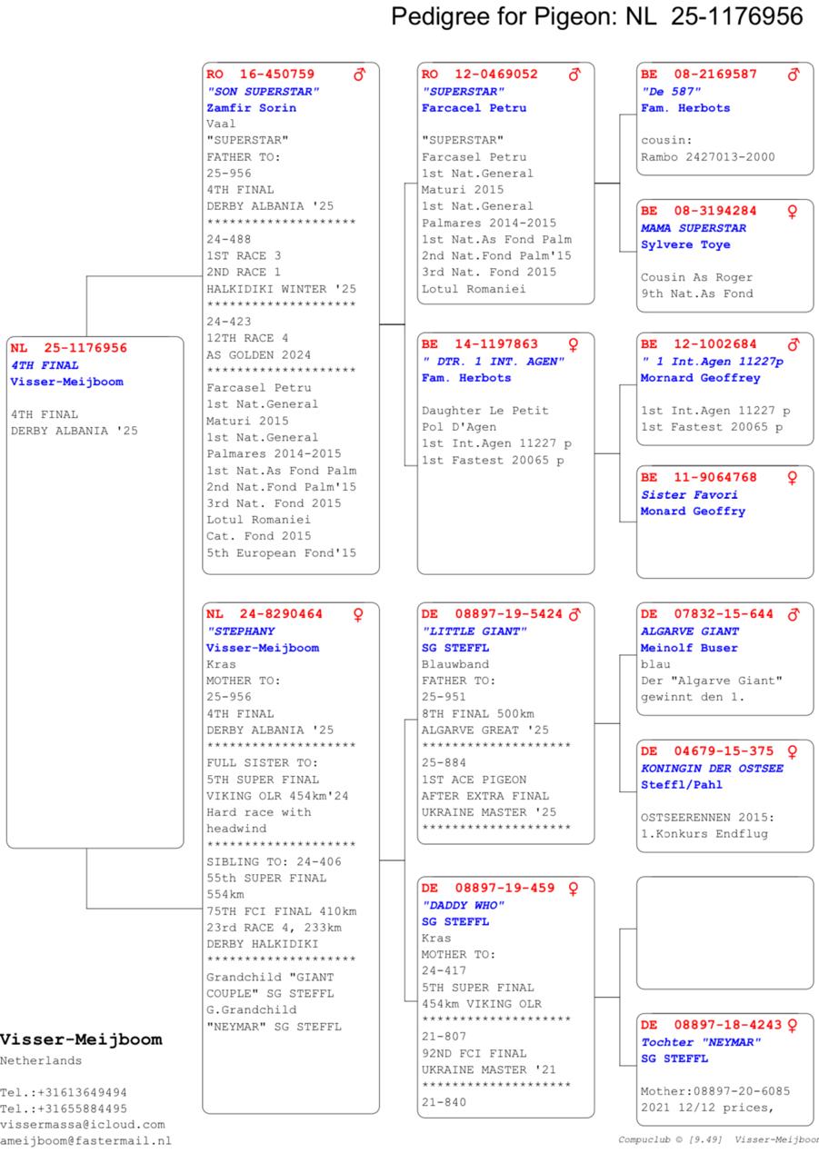 4	Final Race (412 km) 	 Visser Meijboom Team B #MAKTB	 NL-1176956-2025	