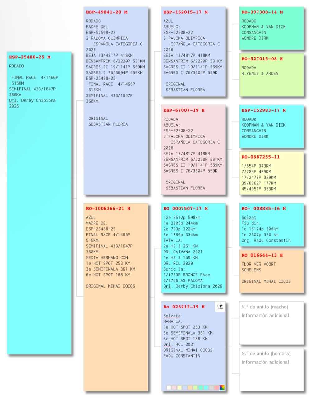 4	FINAL RACE (515 km) 	 MARIN AVRAM	 ESP-25-25488	