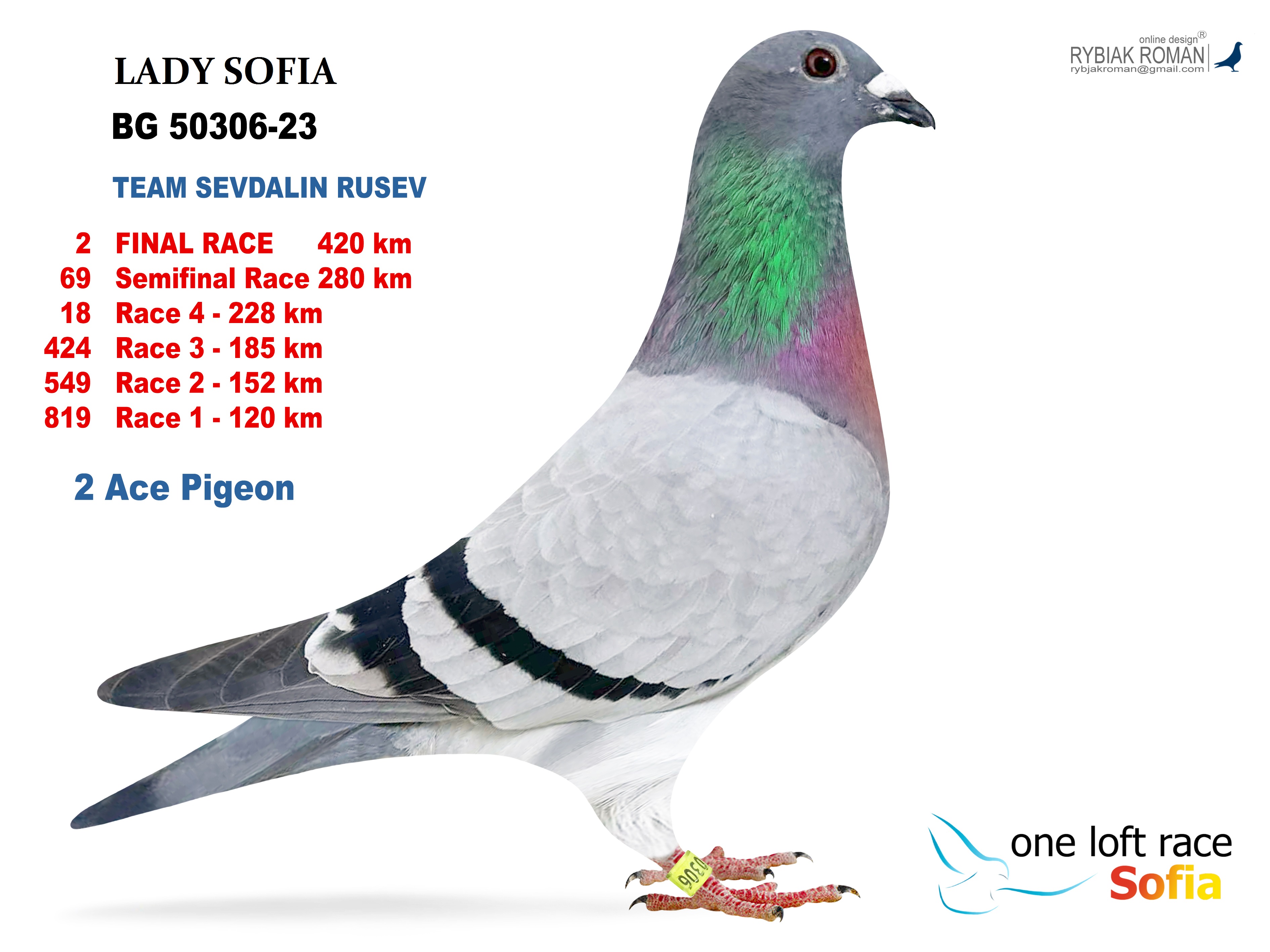 4	Final Race (546 km)	TEAM SEVDALIN RUSEV	253600	25  P				
