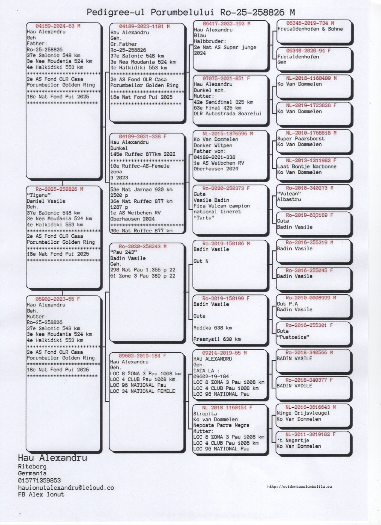 4 place EXTRA SUPER DERBY (553 km) + 2 Ace 3x Fond TIGANU 258826 25