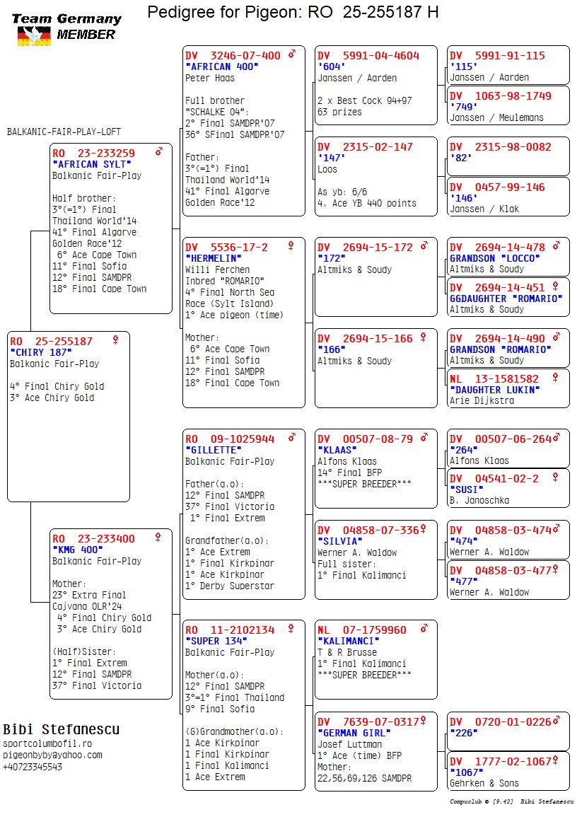 4 place Final (562 km) + 3 Ace BIBI STEFANESCU - RO 255187/25