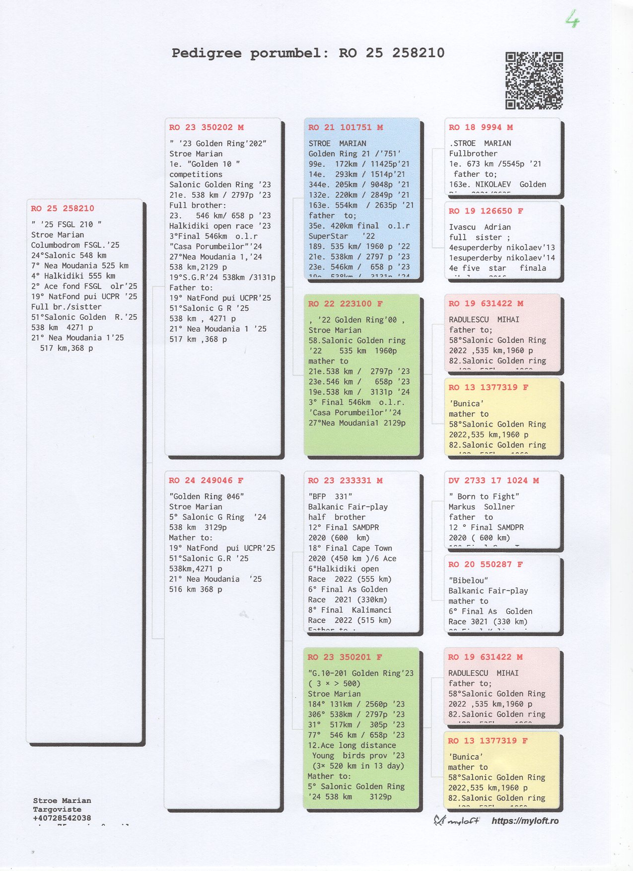 4	place Super Derby Halkidiki (554 km)	STROE MARIAN	258210	25					