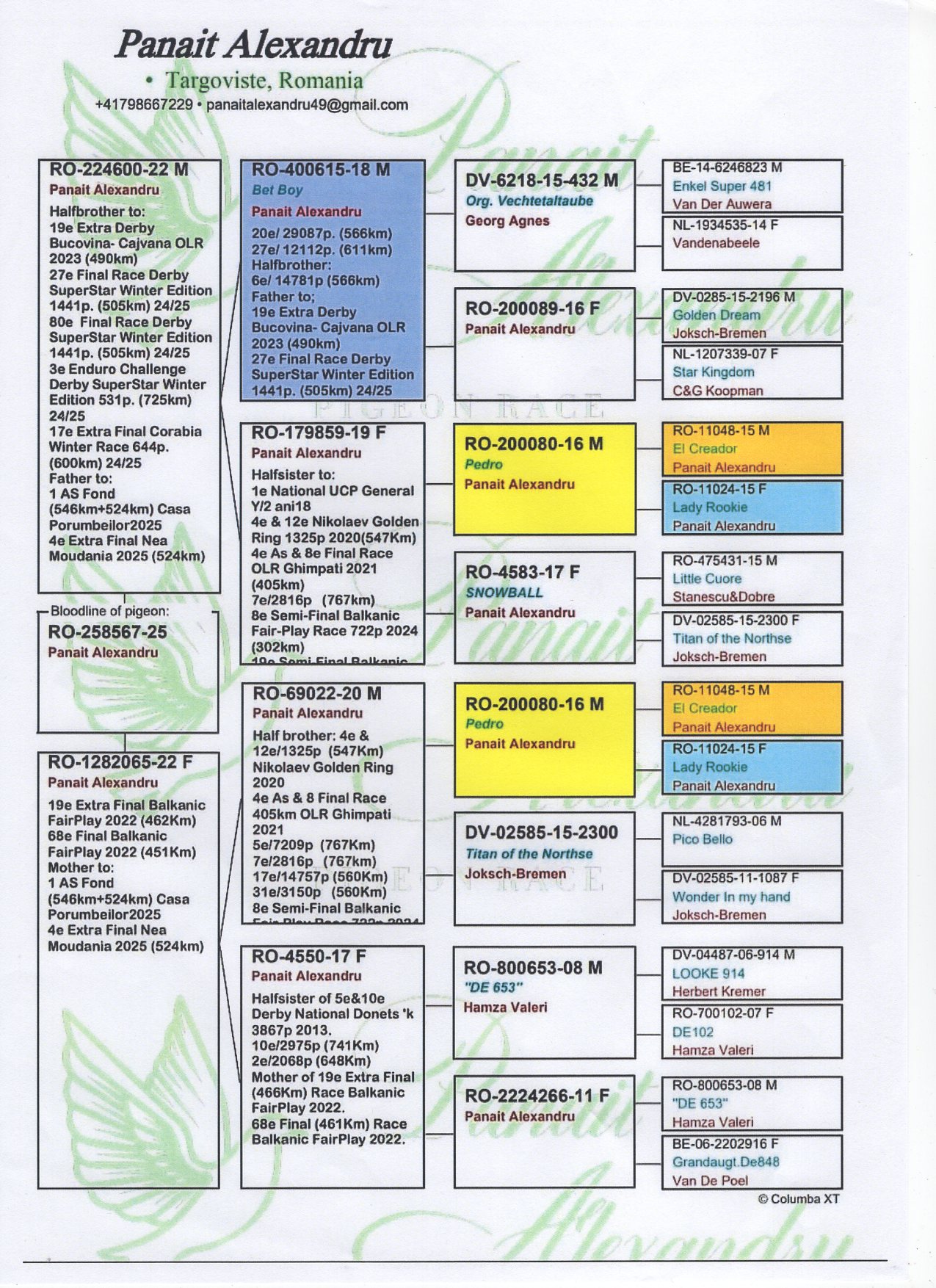 4 SUPER DERBY (524 km) + 1 ACE FOND PANAIT VALENTIN 258567 25